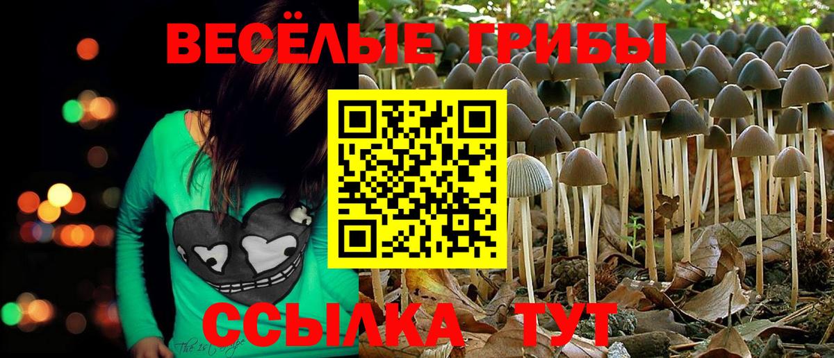Галлюциногенные грибы MAGIC MUSHROOMS Зеленогорск